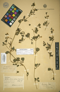 LE 01025048