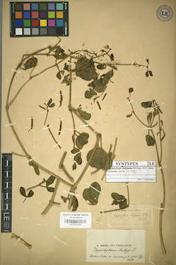 LE 01025049
