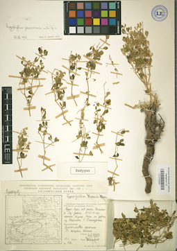 LE 01025051