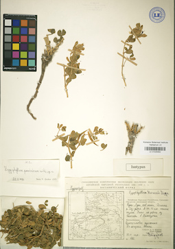 LE 01025052
