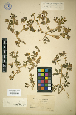 LE 01025054