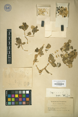 LE 01025055