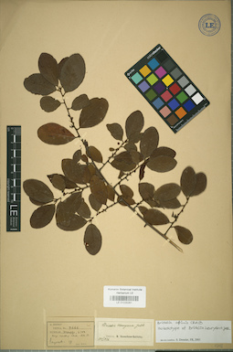 LE 01025261