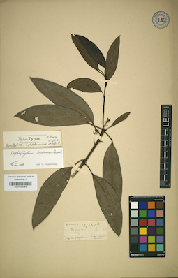 LE 01025263