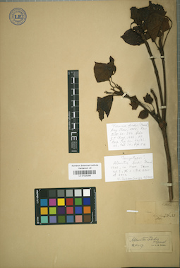LE 01025268