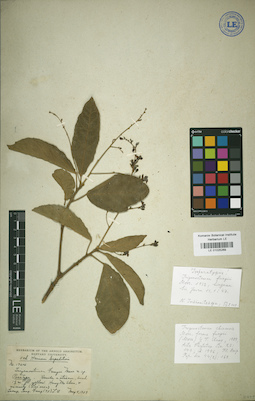 LE 01025269
