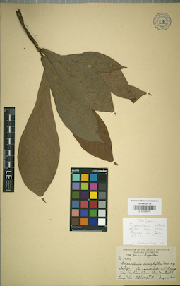 LE 01025270