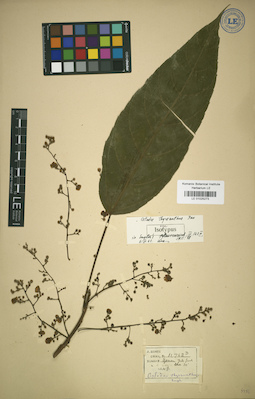 LE 01025273