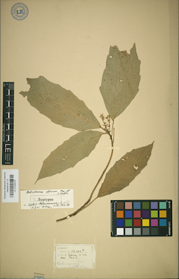 LE 01025275