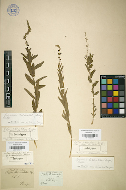 LE 01025277
