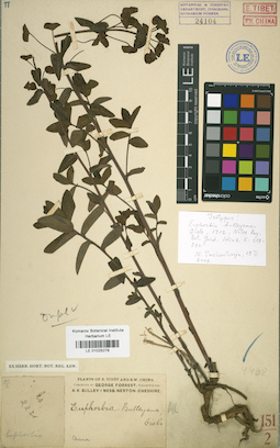 LE 01025278