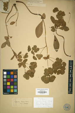 LE 01025279