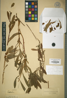 LE 01025280