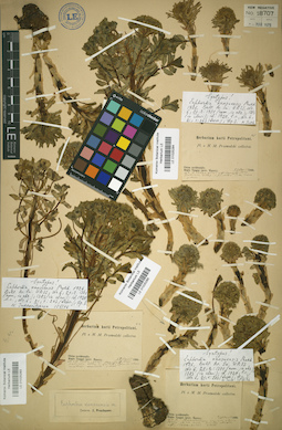 LE 01025283