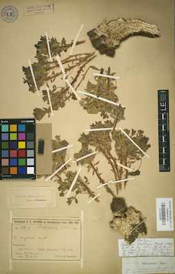 LE 01025286