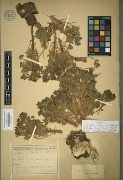 LE 01025287