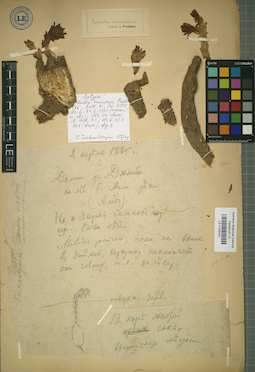 LE 01025291