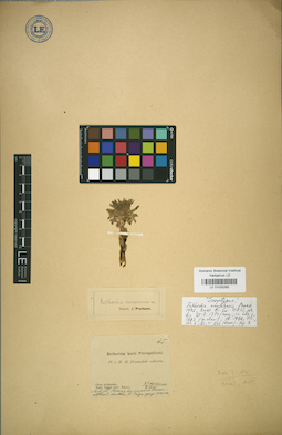 LE 01025292