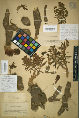 LE 01025294