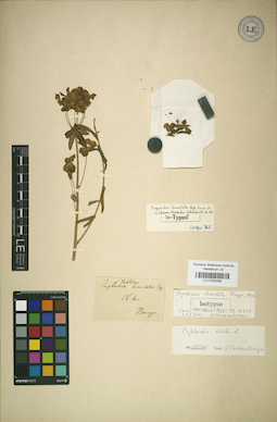 LE 01025299