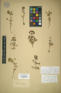 LE 01025321