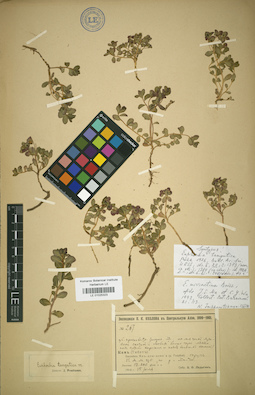 LE 01025323