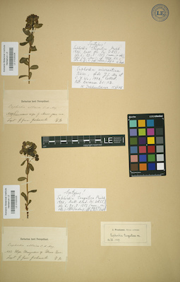 LE 01025325