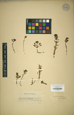 LE 01025327