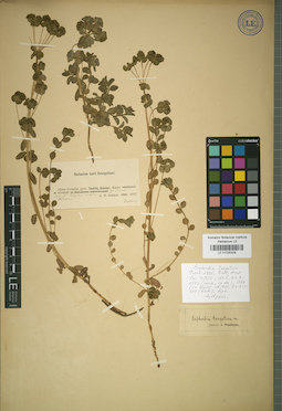 LE 01025328