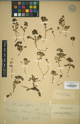 LE 01025329