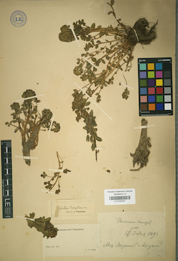 LE 01025331
