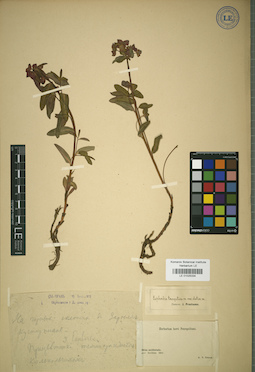 LE 01025334