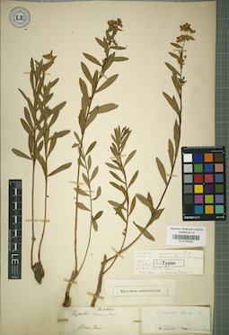 LE 01025335