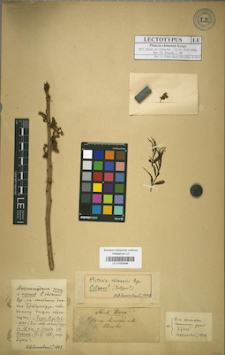LE 01025348