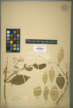 LE 01025385