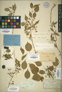 LE 01025389