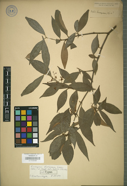 LE 01025395
