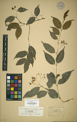 LE 01025398