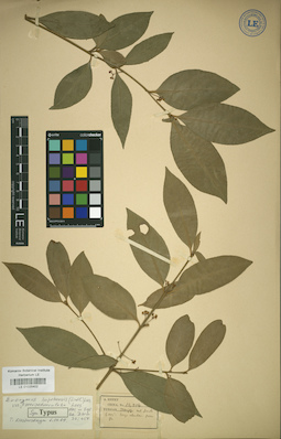LE 01025402