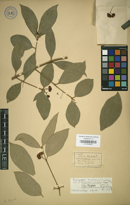 LE 01025403