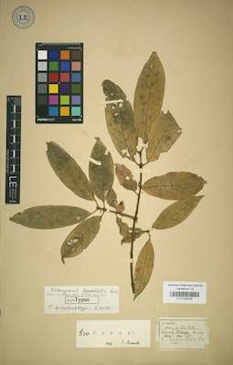 LE 01025405