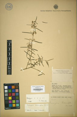 LE 01025406