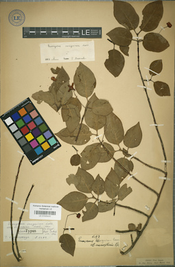LE 01025420