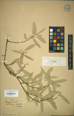 LE 01025427