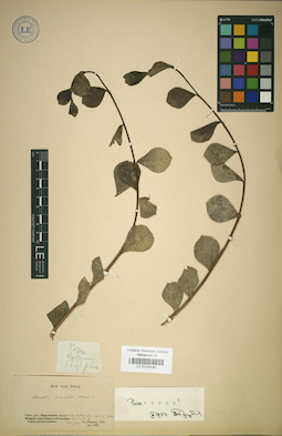 LE 01025435