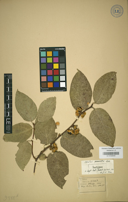 LE 01025440