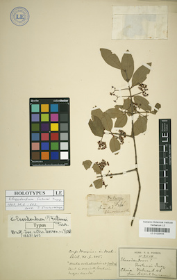 LE 01025444