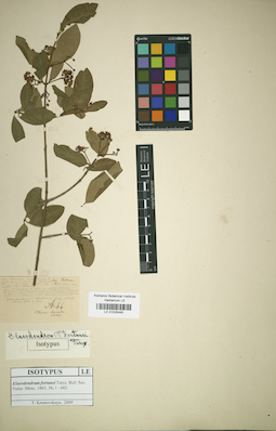 LE 01025445
