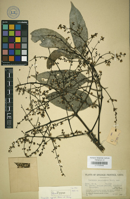 LE 01025446