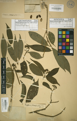 LE 01025449